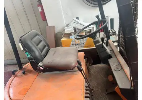 muletto - 3/7