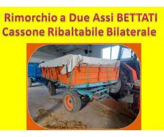 Rimorchio Agricolo Bettati a Due Assi Cassone Ribaltabile Bilaterale