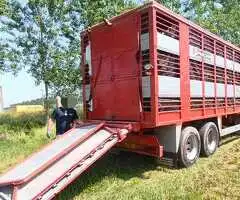 RIMORCHIO AGRICOLO PER TRASPORTO ANIMALI VIVI